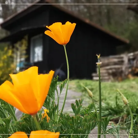 Appart hôtel La Pause En Soi Ponlat-Taillebourg