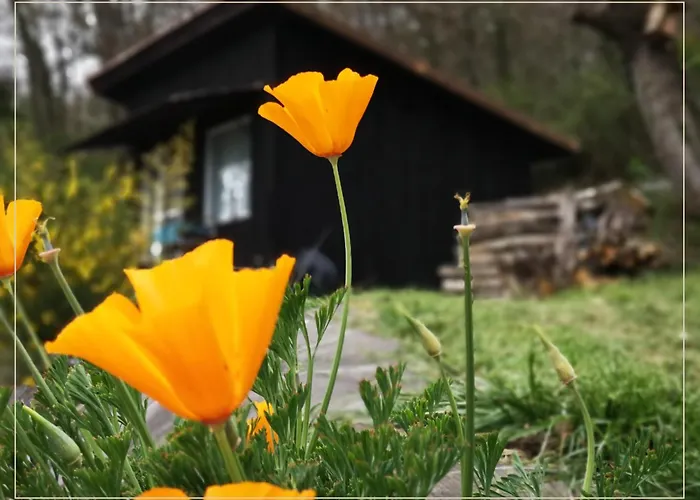 Ξενοδοχείο με διαμερίσματα La Pause En Soi Ponlat-Taillebourg